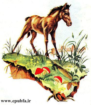 قصه کودکانه کرهاسب کوچولوی بامزه - محصول ایپابفا - ارشیو قصه و داستان کودکانه